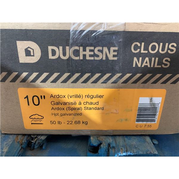 Duchesne Round Head Ardox Framing Nail 10-in L - Galvanized Steel