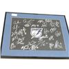 Image 1 : Framed TB Lightning Autographs