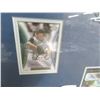 Image 2 : Framed Autographed TB Rays Trading Cards and Patches