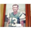 Image 3 : 5-Framed Autographed Gale Sayras, Mike Allstott or Other Photo - 5 X $