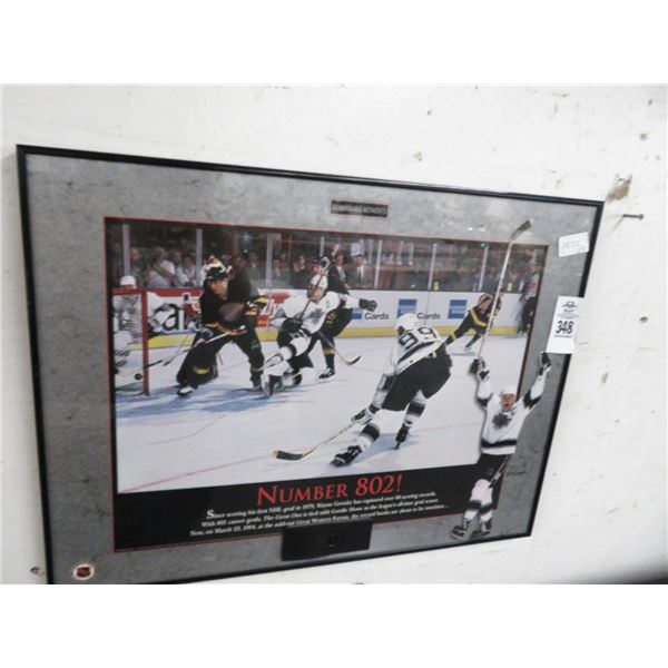 Framed Wayne Gretzky Number 802 Photo Print