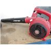 Image 2 : Troy Bilt Gas Blower