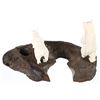 Image 8 : C. 1960-70s Inuit Carved Walrus Tusk & Whale Bone