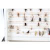 Image 8 : Early Fly Fishing Salesman Collection of 172 Flies