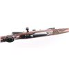 Image 7 : Winchester Model 70 SA 308 Win SN: G55412