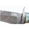 Image 3 : Damascus Bowie Knife
