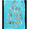 Image 1 : Lot Of Bird Point Arrow Heads