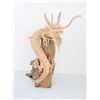 Image 1 : LARGE WOODEN ASIAN DRAGON STATUE FROM THAILAND