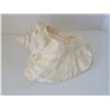 Image 1 : LARGE CONCH SHELL (HEAVY) 8.5"X 7"