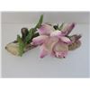 Image 2 : CAPODIMONTE SINGLE ROSE ON A BRANCH 7" X 5"