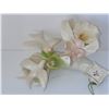 Image 2 : CAPODIMONTE DOVES ON A BRANCH WITH TAG 7" X 3"