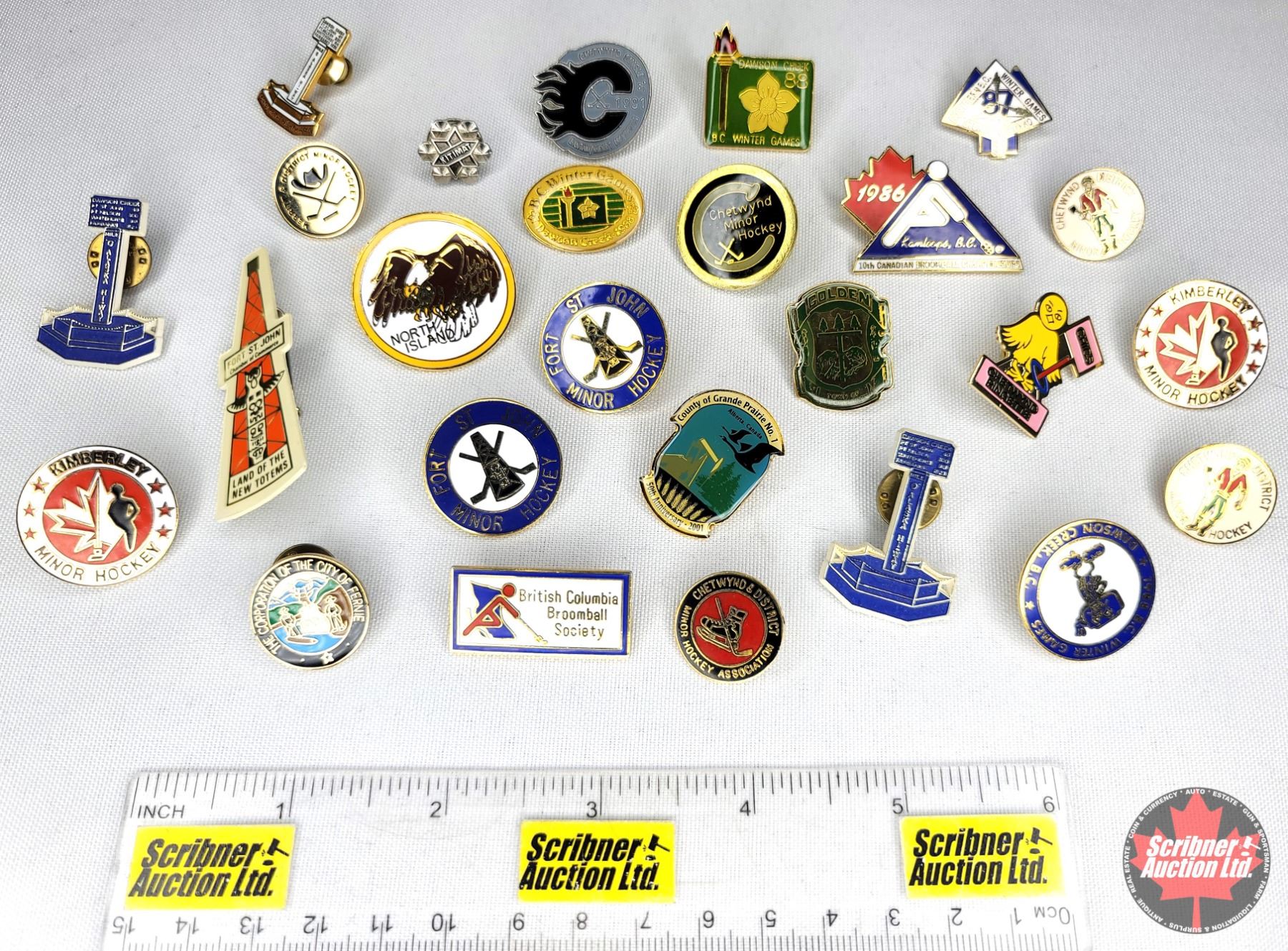 Pin Collection - Variety (26) (SEE PICS!)