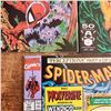 Image 2 : Spiderman 8-12