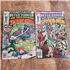 Image 1 : Peter Parker Spectacular Spiderman 2 4