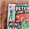 Image 3 : Peter Parker Spectacular Spiderman 2 4
