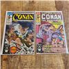 Image 1 : Conan 240 241