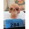 Image 1 : 494 Carat Crazy Lace Agate Skull - Hand Carved