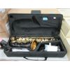 Image 1 : New Amnoon Alto Saxophone with Padded Case