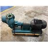 Image 2 : MP Pumps #38204 Pump w/Motor