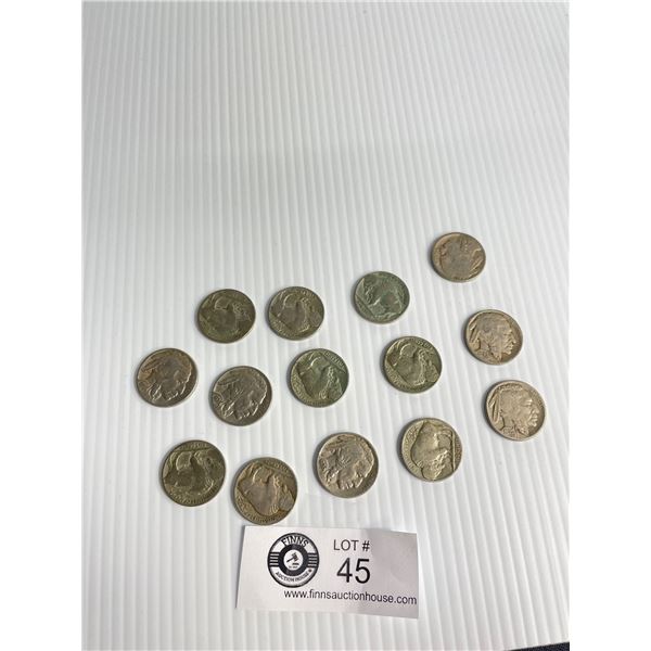 Misc. US Buffalo Head Nickles