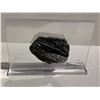 Image 1 : ORTHOCERAS SPECIMEN (MOROCCO) APPROX 2.5X3"- RETAIL $1498.51