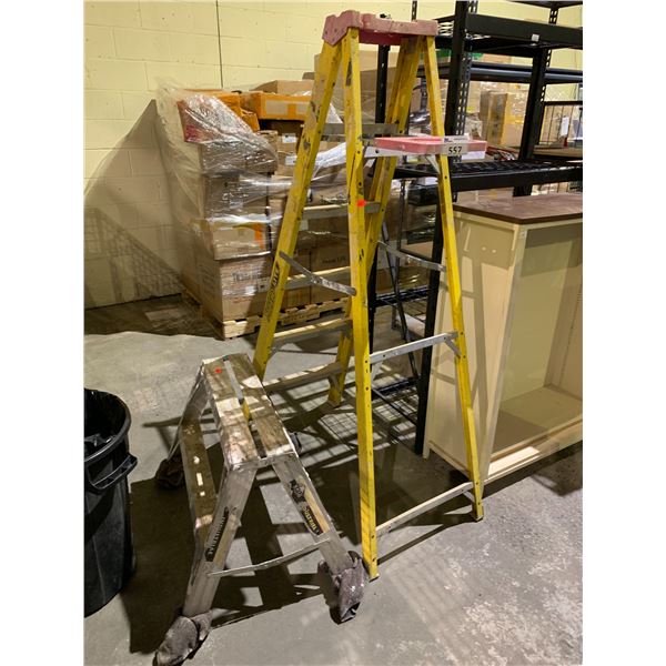 FIBER LITE STEP LADDER AND 2 STEP MINI ALUMINUM LADDER