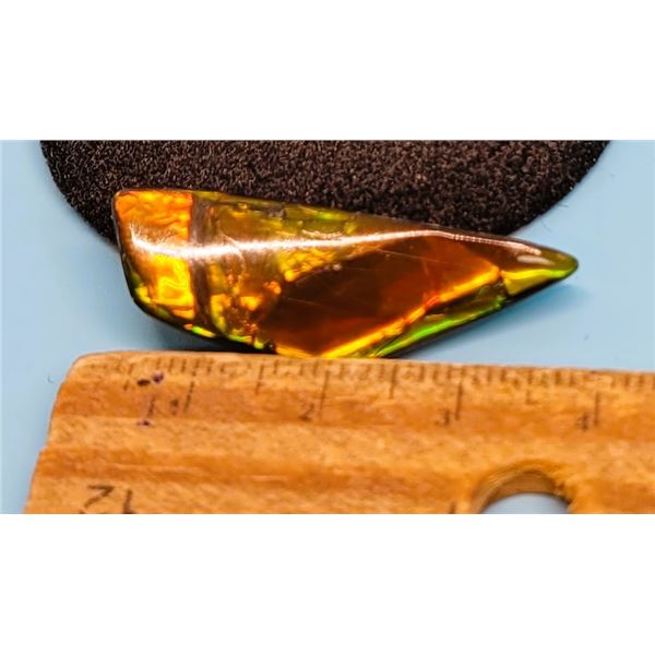 FREEFORM SHAPED NATURAL 19 CT AMMOLITE