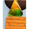 Image 1 : TRIANGULER SHAPED NATURAL AMMOLITE GREEN,