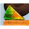 Image 2 : TRIANGULER SHAPED NATURAL AMMOLITE GREEN,