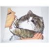 Image 1 : NEW NO KISSES KITTY CUSHION COVER