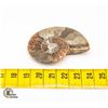 Image 1 : GENUINE AMMONITE SPECIMEN 19.2 GRAMS TOTAL WEIGHT