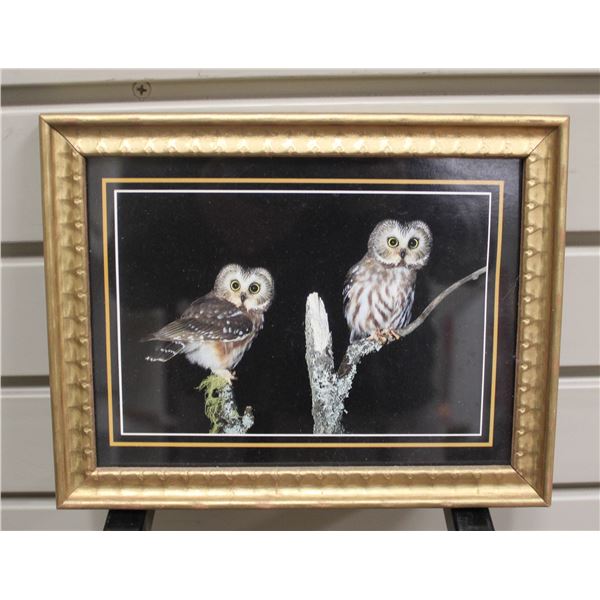 9" X 7" FRAMED PRINT OF OWLS