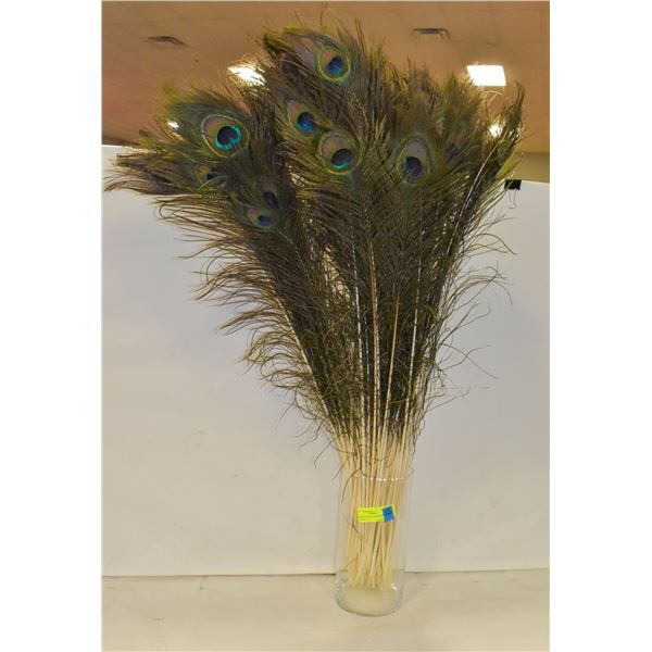 LONG PEACOCK FEATHERS IN VASE-ESTATE