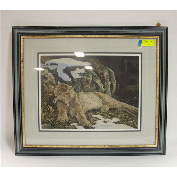 SET OF 2  LYNX & SNOW LEOPARD  SIGNED FRAMED