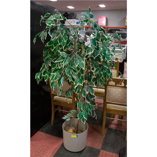 ARTIFICIAL FICUS TREE 62"