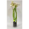 Image 1 : APPROX 2 FT TALL VASE WITH WHITE TALL