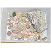 BUNDLE OF GENUINE LAVA ROCKS, BRACHIOPODS,