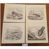 Image 1 : Four Picture Prints Of Different Whale Scenes