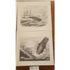 Image 2 : Four Picture Prints Of Different Whale Scenes