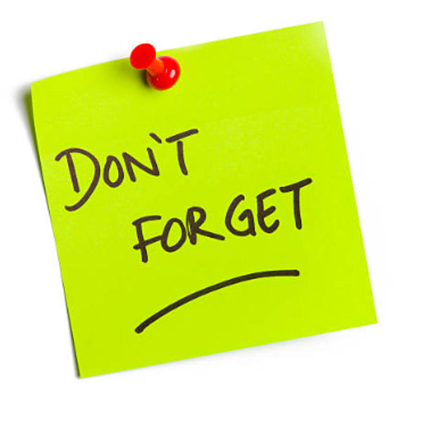 DID YOU READ THE OPENING LOTS?