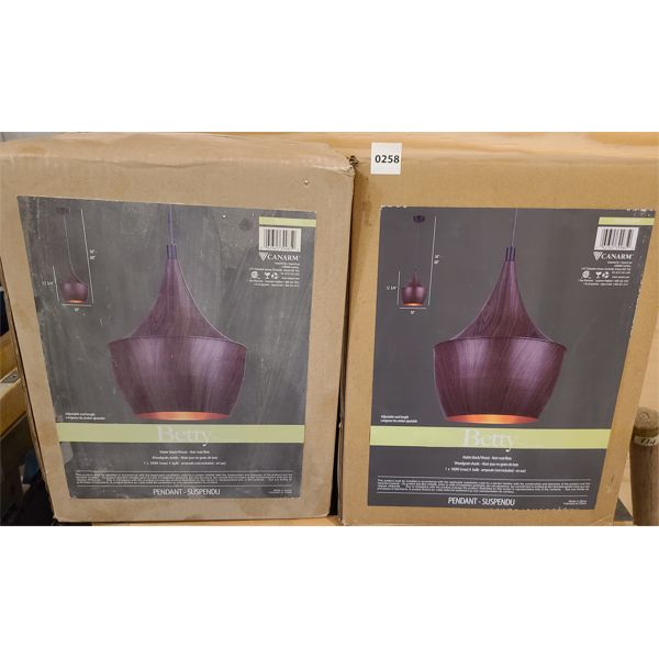 LOT OF 2 - MATTE BLACK LIGHTS