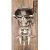 Image 3 : MARTIN MODEL 60 OUTBOARD MOTOR