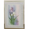 Image 1 : "IRIS" BY LORRAINE COOPER - FRAMED PRINT
