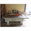 Image 2 : Diehl Machines Model SL60II Straight Line Rip Saw