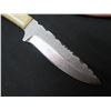 Image 2 : Curved Damascus Blade Knife in Textured Sheath 8"L