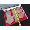 Image 8 : Multiple Stone Pieces (Date & Origin Unknown) in Display Case 16"x12"