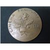 Image 3 : Qty 7 Medallions 