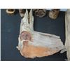 Image 8 : Multiple Wood Carvings: Faces, Totem, Abstract, etc (Some Signed), Misc Sizes