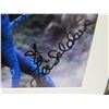 Image 2 : James Cameron's Avatar Movie Print Autographed Zoe Saldana w/ COA
