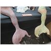 Image 3 : Qty 2 Mermaid Figures, Multiple Frogs, Alligator Head, Fish, etc